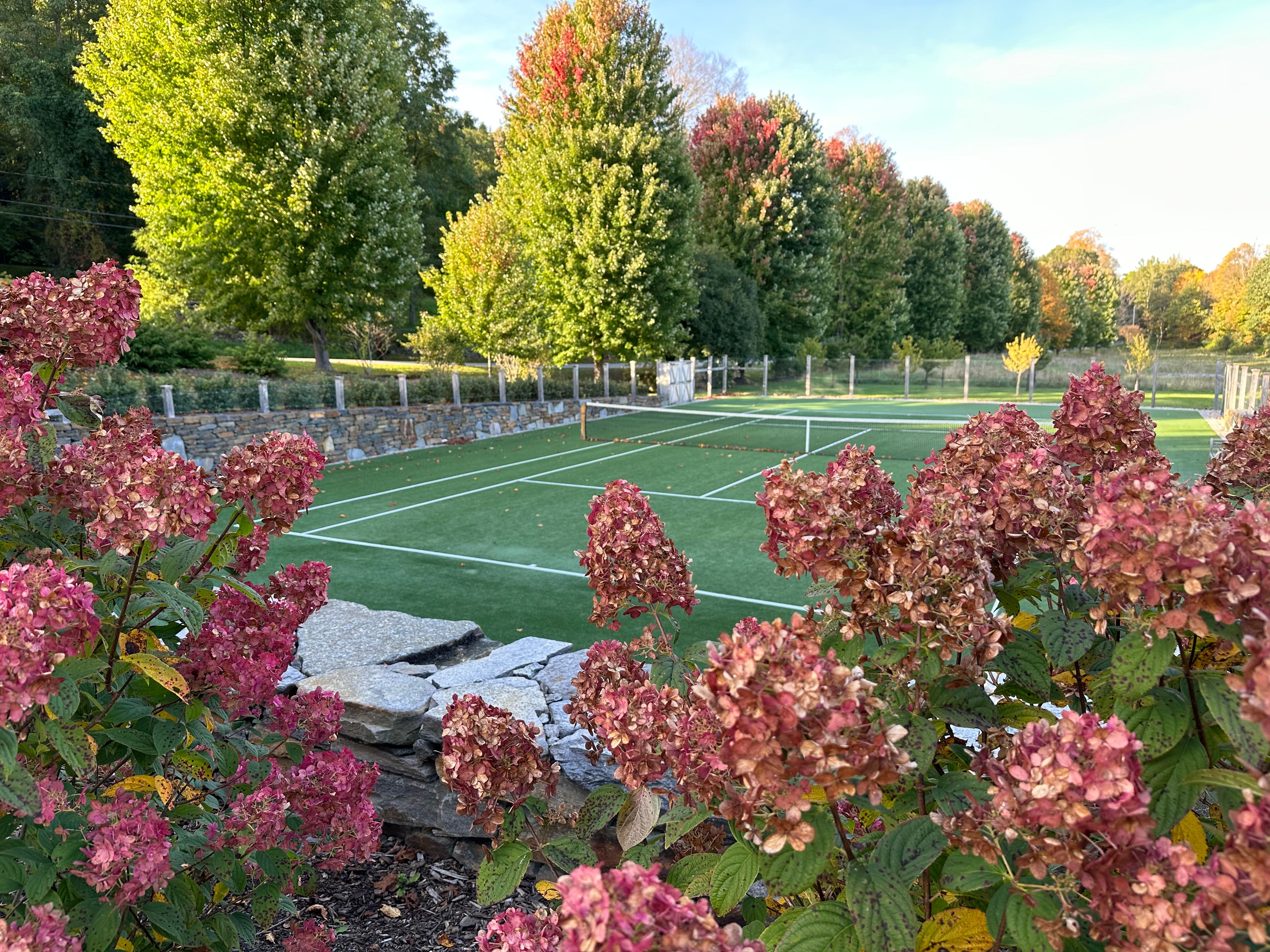 Tennis court with autumn hydrangeas and fall foliage