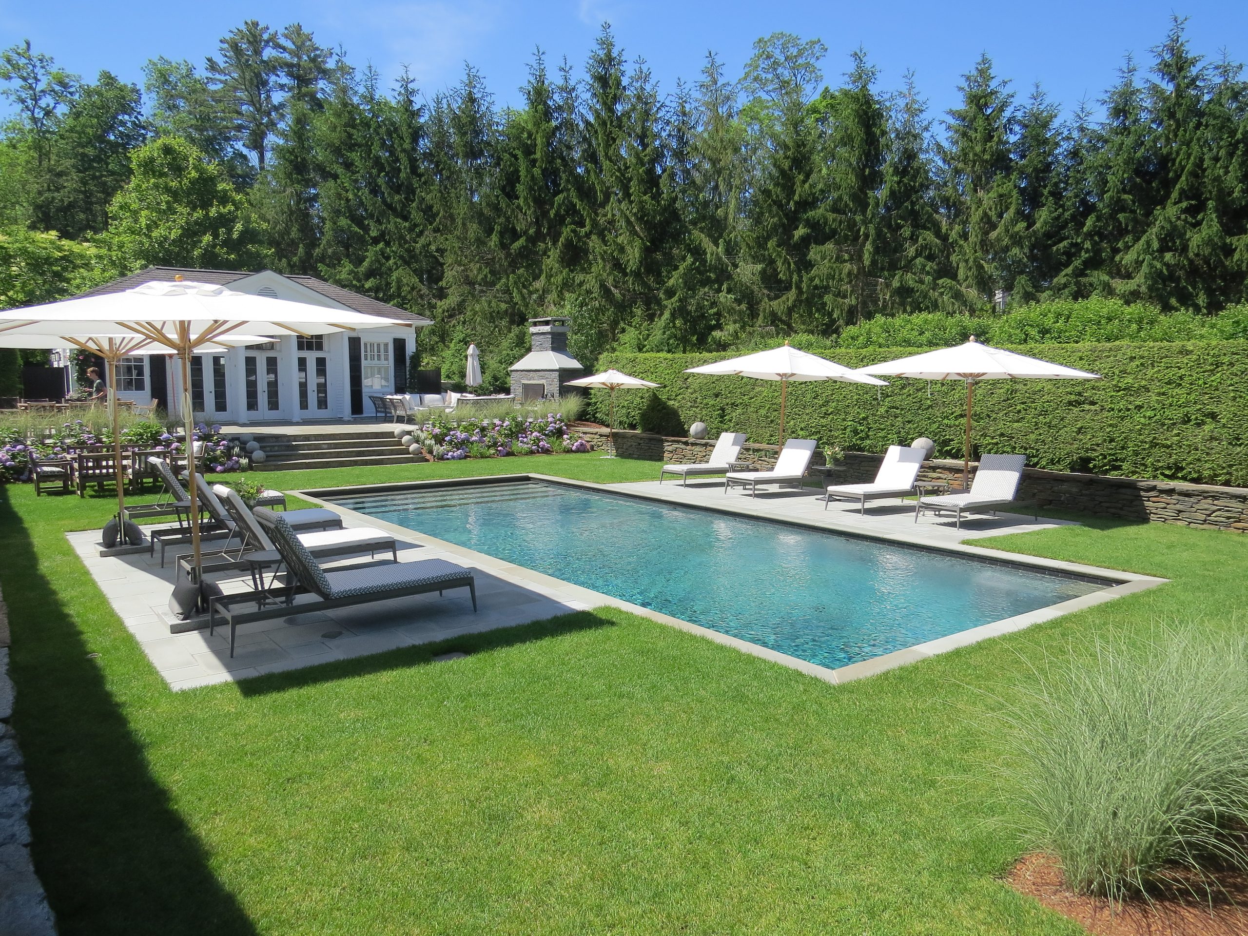 Home Estate swimming pool framed by lawn, ornamental grasses, and evergreens