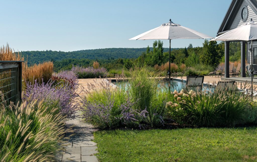 Portfolio Perennial Border & Pool