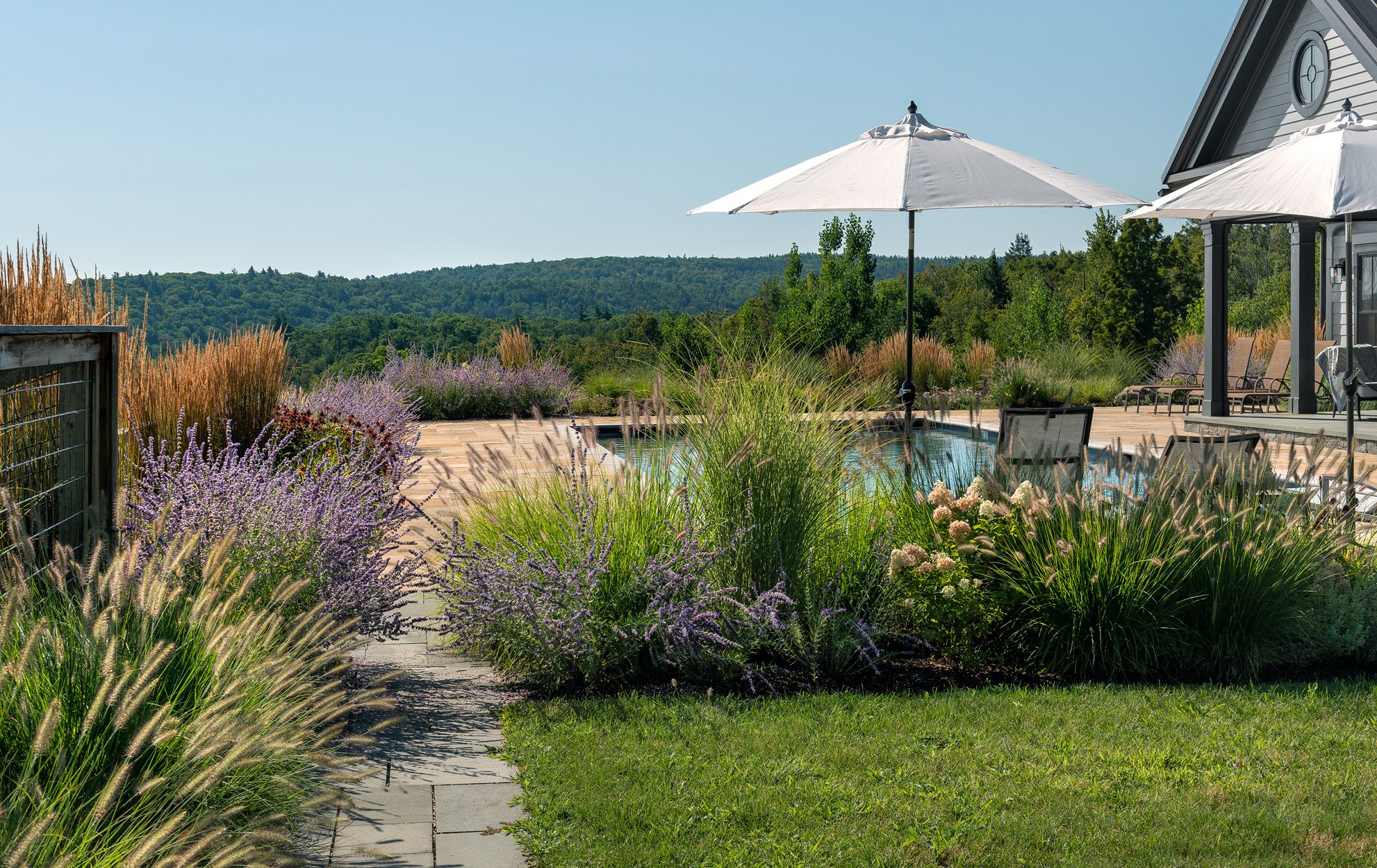 About Planting Border Pool Hills