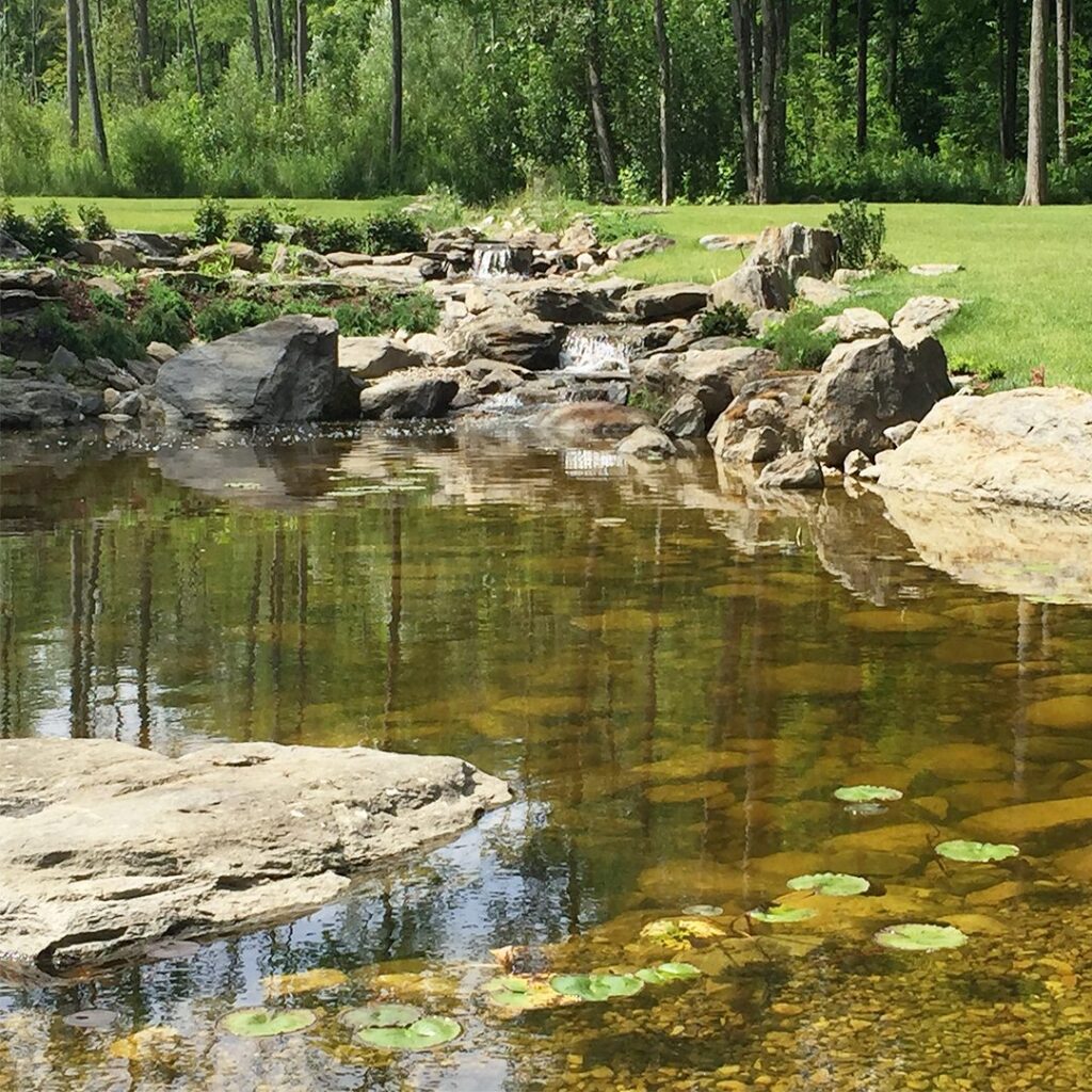 Portfolio Naturalistic Pond & Waterfall