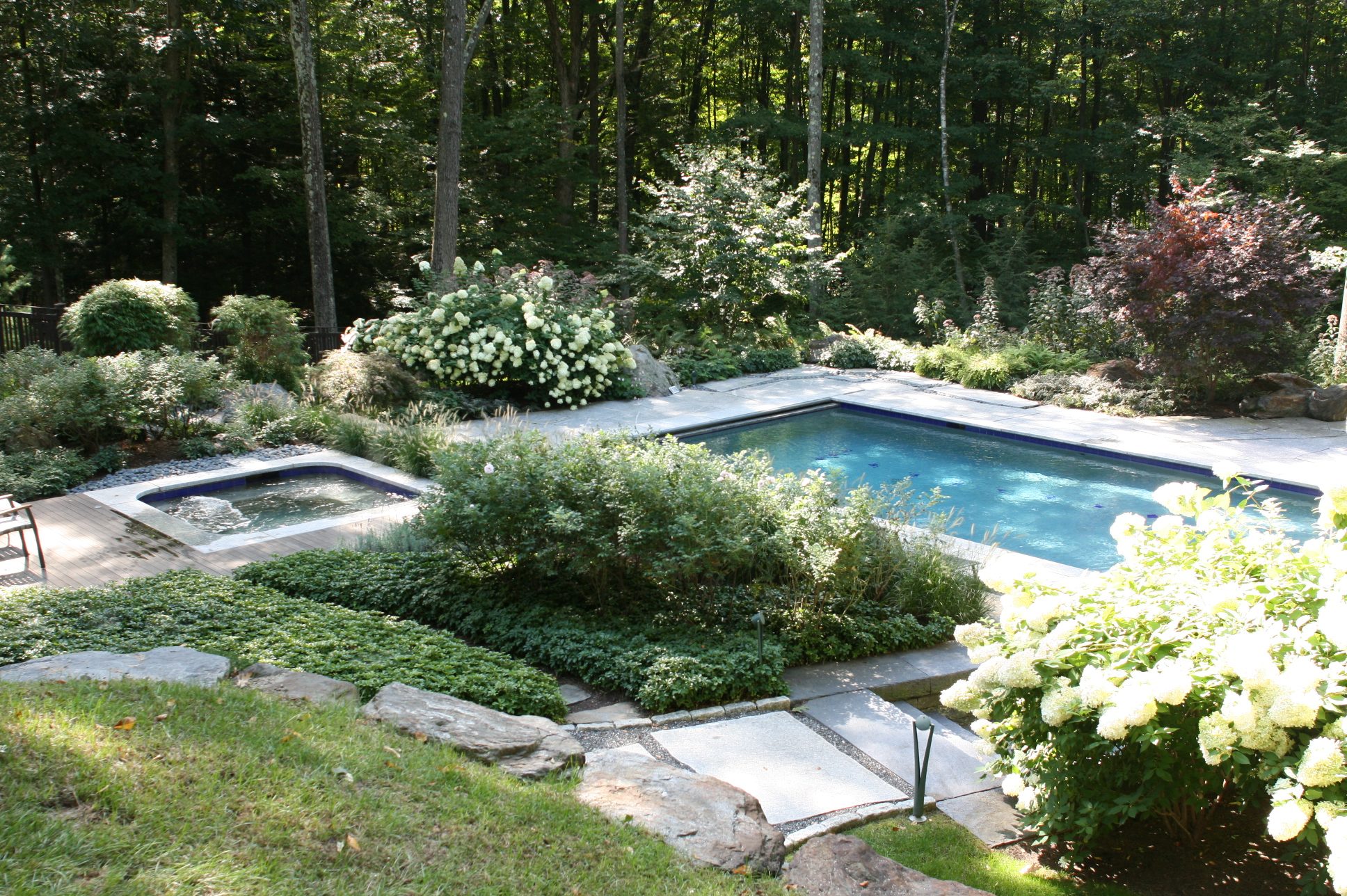 Home Pool Woodland Hydrangeas