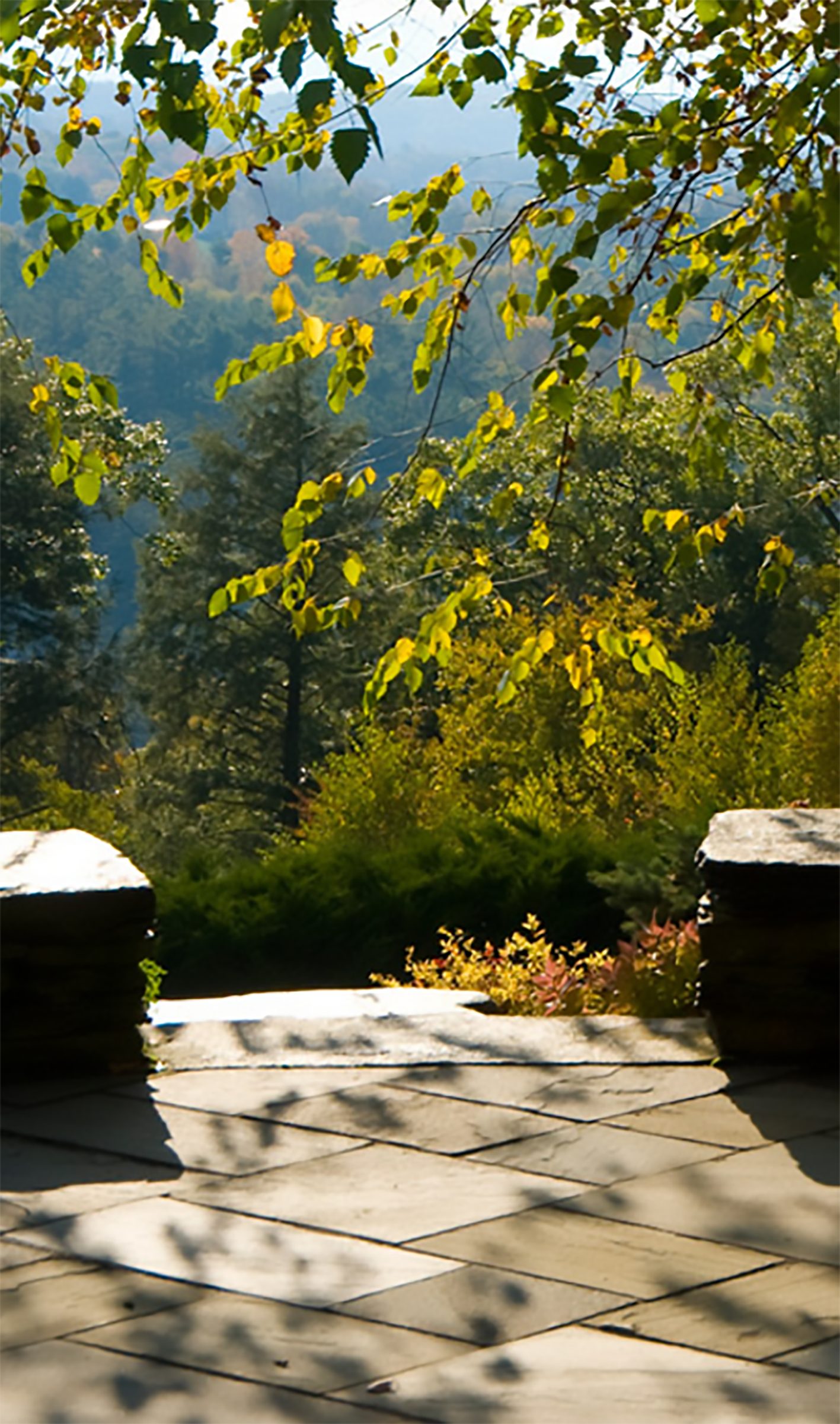 Home Terrace Bluestone Valley